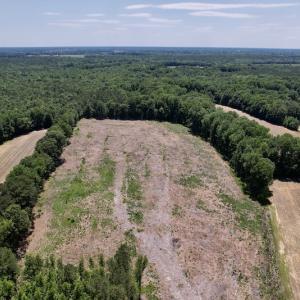 Photo #12 of SOLD property in Off Baker's School Road, Scotland Neck, NC 12.6 acres