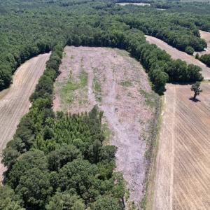 Photo #13 of SOLD property in Off Baker's School Road, Scotland Neck, NC 12.6 acres