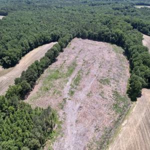 Photo #14 of SOLD property in Off Baker's School Road, Scotland Neck, NC 12.6 acres