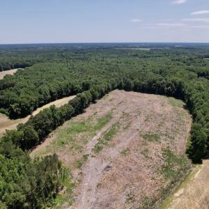 Photo #3 of SOLD property in Off Baker's School Road, Scotland Neck, NC 12.6 acres