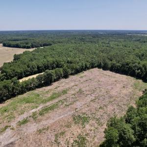 Photo #4 of SOLD property in Off Baker's School Road, Scotland Neck, NC 12.6 acres