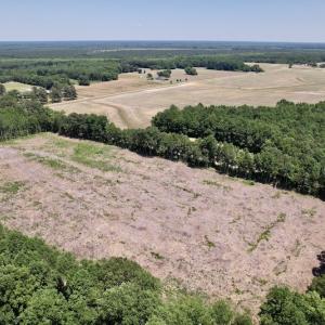 Photo #6 of SOLD property in Off Baker's School Road, Scotland Neck, NC 12.6 acres