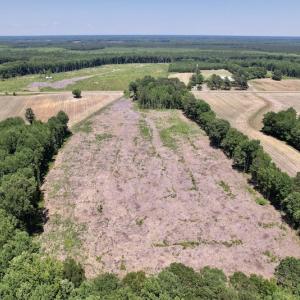 Photo #7 of SOLD property in Off Baker's School Road, Scotland Neck, NC 12.6 acres