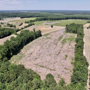 Photo #8 of SOLD property in Off Baker's School Road, Scotland Neck, NC 12.6 acres