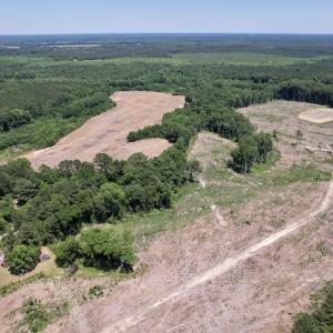 Photo #9 of SOLD property in Off Baker's School Road, Scotland Neck, NC 40.3 acres