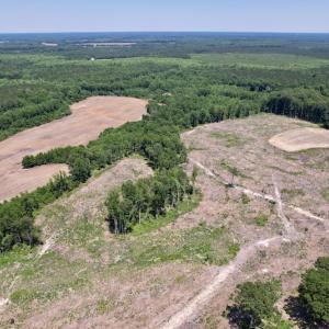 Photo #10 of SOLD property in Off Baker's School Road, Scotland Neck, NC 40.3 acres