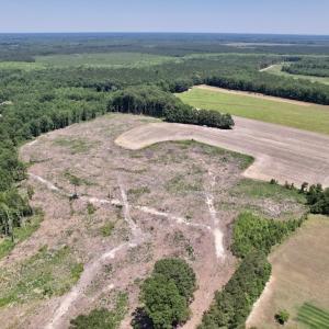 Photo #11 of SOLD property in Off Baker's School Road, Scotland Neck, NC 40.3 acres