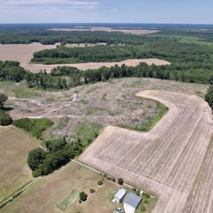 Photo #12 of SOLD property in Off Baker's School Road, Scotland Neck, NC 40.3 acres