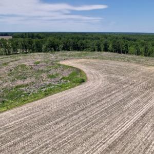 Photo #14 of SOLD property in Off Baker's School Road, Scotland Neck, NC 40.3 acres
