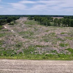 Photo #15 of SOLD property in Off Baker's School Road, Scotland Neck, NC 40.3 acres