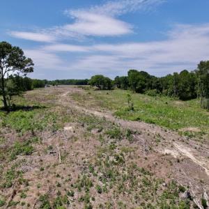 Photo #16 of SOLD property in Off Baker's School Road, Scotland Neck, NC 40.3 acres