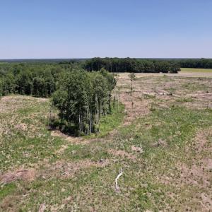Photo #17 of SOLD property in Off Baker's School Road, Scotland Neck, NC 40.3 acres