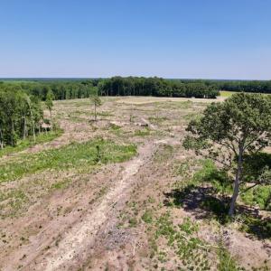 Photo #18 of SOLD property in Off Baker's School Road, Scotland Neck, NC 40.3 acres