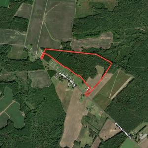Photo #20 of SOLD property in Off Baker's School Road, Scotland Neck, NC 40.3 acres