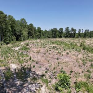 Photo #19 of SOLD property in Off Baker's School Road, Scotland Neck, NC 40.3 acres