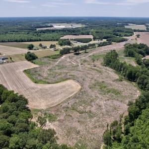 Photo #2 of SOLD property in Off Baker's School Road, Scotland Neck, NC 40.3 acres