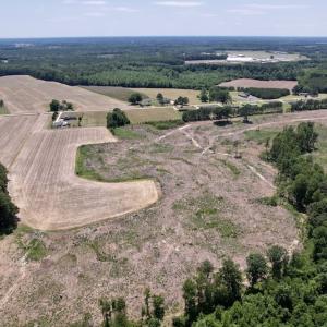 Photo #3 of SOLD property in Off Baker's School Road, Scotland Neck, NC 40.3 acres