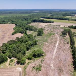 Photo #7 of SOLD property in Off Baker's School Road, Scotland Neck, NC 40.3 acres