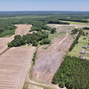 Photo #8 of SOLD property in Off Baker's School Road, Scotland Neck, NC 40.3 acres