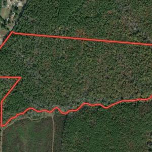 Photo #1 of Off Church Hill Road, Macon, NC 87.4 acres