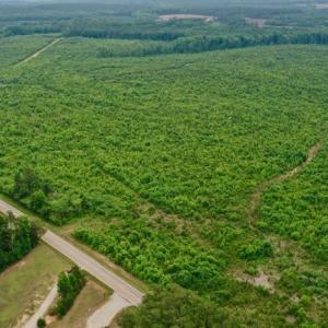 Photo #3 of SOLD property in Off Church Hill Road, Macon, NC 87.4 acres