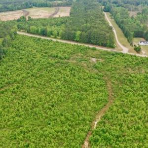 Photo #25 of SOLD property in Off Church Hill Road, Macon, NC 87.4 acres