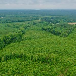 Photo #31 of SOLD property in Off Church Hill Road, Macon, NC 87.4 acres