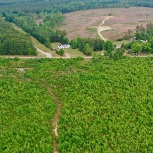 Photo #33 of SOLD property in Off Church Hill Road, Macon, NC 87.4 acres