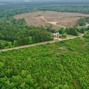 Photo #34 of SOLD property in Off Church Hill Road, Macon, NC 87.4 acres