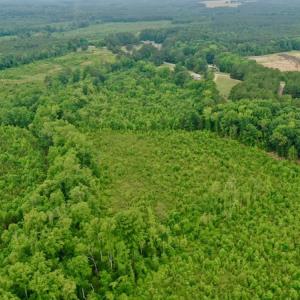 Photo #37 of SOLD property in Off Church Hill Road, Macon, NC 87.4 acres
