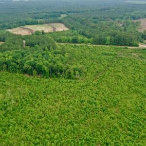 Photo #38 of SOLD property in Off Church Hill Road, Macon, NC 87.4 acres
