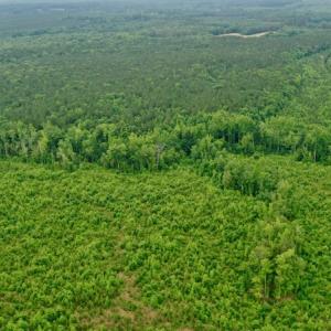 Photo #43 of SOLD property in Off Church Hill Road, Macon, NC 87.4 acres