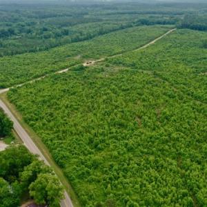 Photo #45 of SOLD property in Off Church Hill Road, Macon, NC 87.4 acres