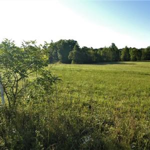 Photo #2 of SOLD property in Off Old Poole Road, Alberta, VA 6.3 acres