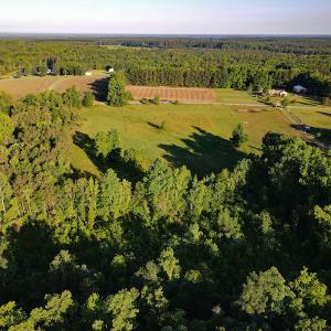 Photo #11 of SOLD property in Off Old Poole Road, Alberta, VA 6.3 acres