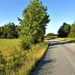 Photo #19 of SOLD property in Off Old Poole Road, Alberta, VA 6.3 acres