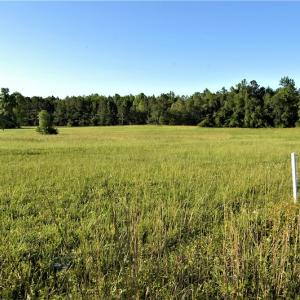 Photo #3 of SOLD property in Off Old Poole Road, Alberta, VA 6.3 acres