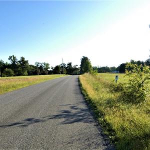 Photo #20 of SOLD property in Off Old Poole Road, Alberta, VA 6.3 acres