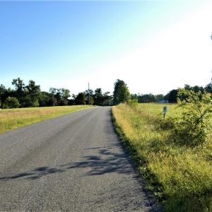 Photo #20 of SOLD property in Off Old Poole Road, Alberta, VA 6.3 acres