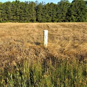 Photo #21 of SOLD property in Off Old Poole Road, Alberta, VA 6.3 acres