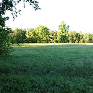 Photo #4 of SOLD property in Off Old Poole Road, Alberta, VA 6.3 acres