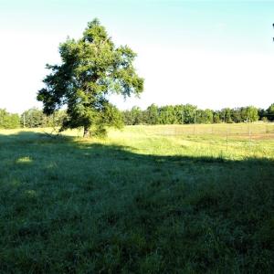 Photo #5 of SOLD property in Off Old Poole Road, Alberta, VA 6.3 acres