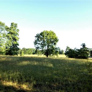 Photo #6 of SOLD property in Off Old Poole Road, Alberta, VA 6.3 acres