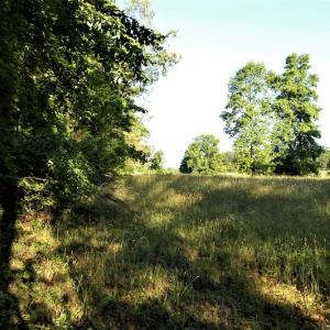 Photo #7 of SOLD property in Off Old Poole Road, Alberta, VA 6.3 acres