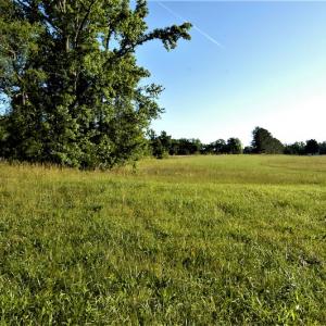 Photo #8 of SOLD property in Off Old Poole Road, Alberta, VA 6.3 acres
