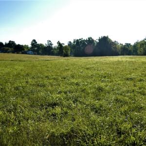 Photo #9 of SOLD property in Off Old Poole Road, Alberta, VA 6.3 acres