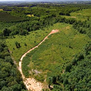 Photo #2 of SOLD property in Off Pleasant Grove Road, Halifax, VA 106.0 acres