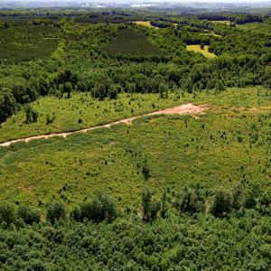 Photo #3 of SOLD property in Off Pleasant Grove Road, Halifax, VA 106.0 acres