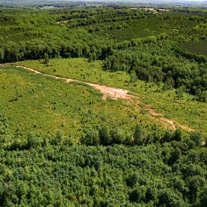 Photo #4 of SOLD property in Off Pleasant Grove Road, Halifax, VA 106.0 acres