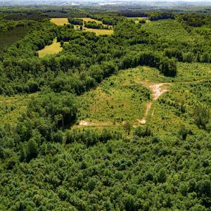 Photo #5 of SOLD property in Off Pleasant Grove Road, Halifax, VA 106.0 acres